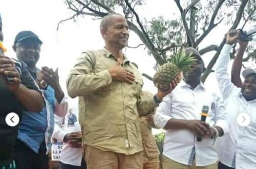 Bientôt l'installation de l’usine de production du jus d’ananas à Maboya, don de Moïse Katumbi