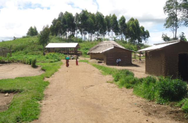 Ituri : 14 CRP neutralisés par l'armée à Djugu