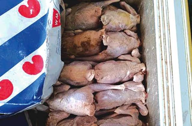 RDC : l’OCC alerte sur un lot de cuisses de poulet polonaises contaminées par une bactérie dangereuse