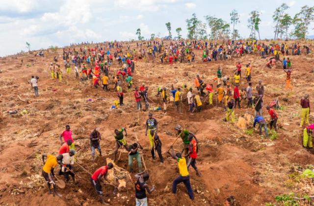 Agriculture : la Fondation « Pax Burundi » mise sur café et avocat pour l'exportation