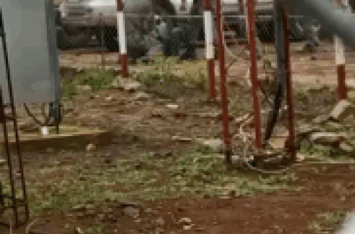 B1B460A6-4CDE-48BB-A2B9-CE872B292217.gif