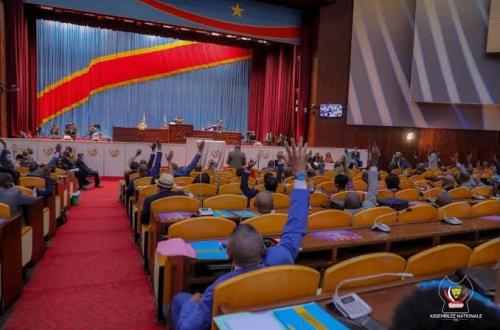 <p>Vue sur les députés procédant à un vote à l’assemblée nationale.</p>
