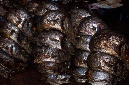 <p>Les poissons Mukeke qu’on ne retrouve que dans le lac Tanganyika</p>
