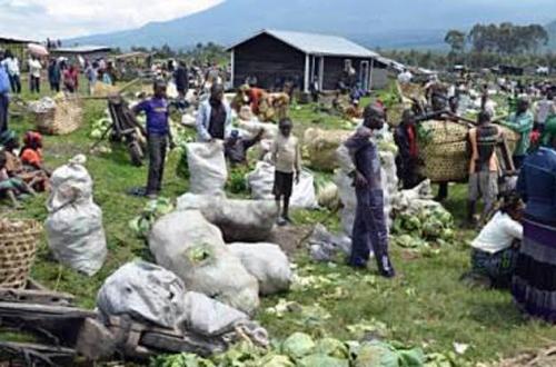 <p>Des agriculteurs de Kibumba attirent les commerçants de Goma vers leurs productions agricoles</p>

