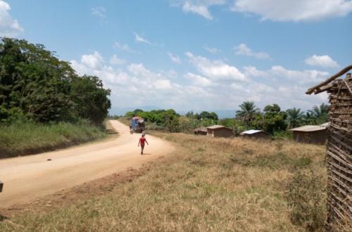 <p>Un agriculteur porté disparu dans son champ en secteur Ruwenzori</p>
