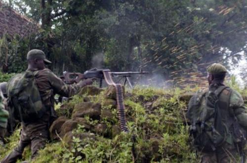 Ituri : Deux ADF capturés et un autre blessé par les FARDC à Manzobe