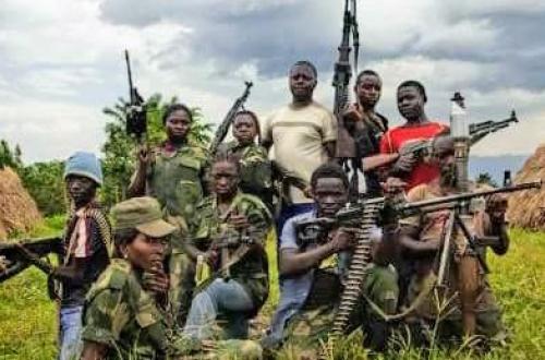 Ituri : Trois combattants Maï-Maï présentés aux forces vives à Irumu
