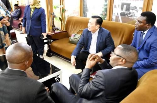 Coopération Sud-Sud : La RDC et l'Indonésie prêtes à échanger des expériences de la transformation des minerais stratégiques