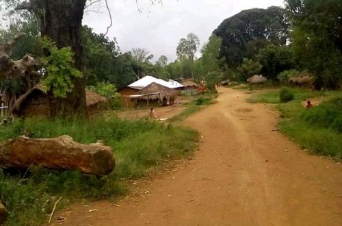 Irumu : 6 civils tués et 4 ADF neutralisés dans une attaque rebelle en chefferie des Walese-Vonkutu