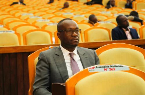 Delly Sesanga sur la loi Tshiani : “C'est une initiative aux apparences nationalistes dont l'enjeu purement électoraliste est loin d'être national”
