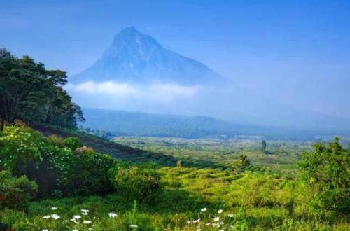Nord-Kivu : La FECOPEILE demande au gouvernement Congolais de retirer les blocs pétroliers IV et V de la liste de ceux mis en vente