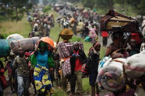 Catastrophe humanitaire au Nord-Kivu : Le MSF documente près de 2,5 millions de déplacés