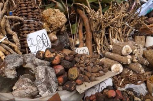 Goma : À la recherche des performances sexuelles, certains hommes se livrent à la consommation clandestine des aphrodisiaques