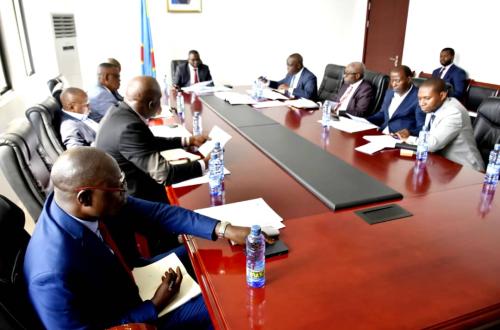 RDC : 20 entreprises identifiées au Nord et Sud-Kivu pour un éventuel financement du FPI