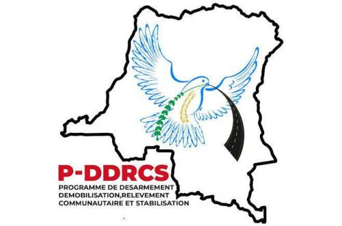 Goma : le P-DDRCS lance son programme d’encadrement professionnel des démobilisés