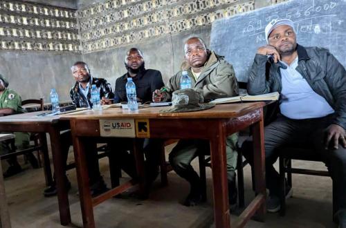 Nord-Kivu : l'ICCN compte réintroduire une nouvelle souche de gorilles au Mont Thsiabirimu