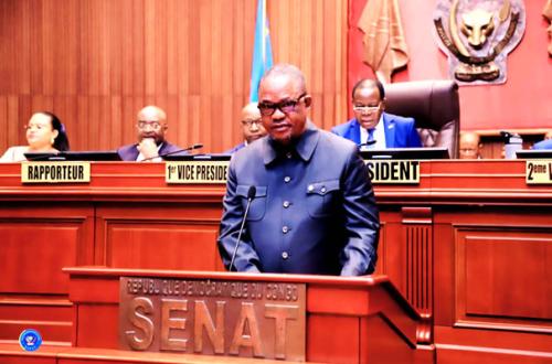 RDC : Les sénateurs votent en seconde lecture, le projet de Loi portant répartition des sièges que doit appliquer la CENI