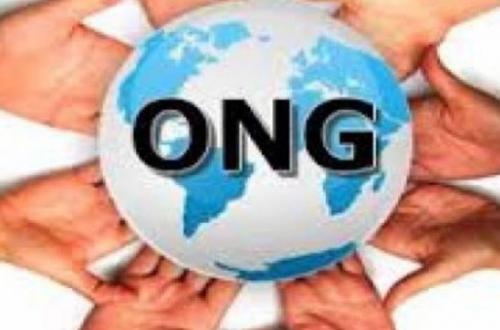 RDC : “Les ONG devront passer au contrôle pour attester leurs conformités” (Conseil des ministres)