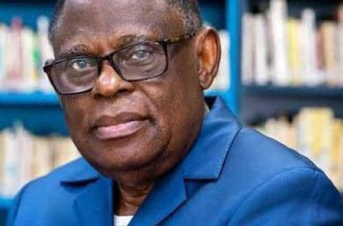 6 régions fédérales, 9 ans de mandat présidentiel, deux capitales, un vice-président : Les propositions audacieuses d'Isidore Ndaywel