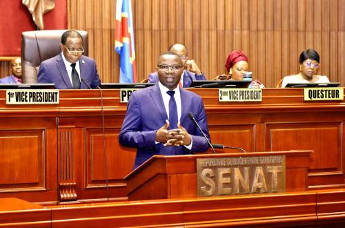 Kinshasa : Le Sénat vote le projet de loi fixant le régime des Zones Économiques Spéciales