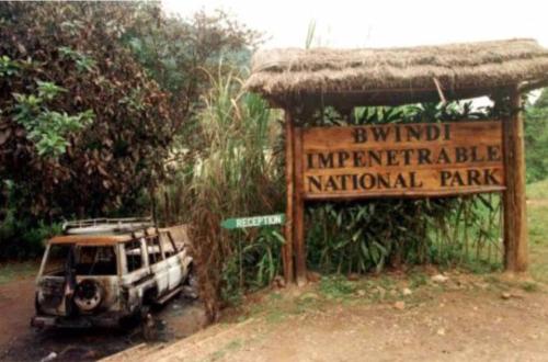 Ouganda : Comment huit autres touristes sont morts lors du massacre de Bwindi en 1999 ?