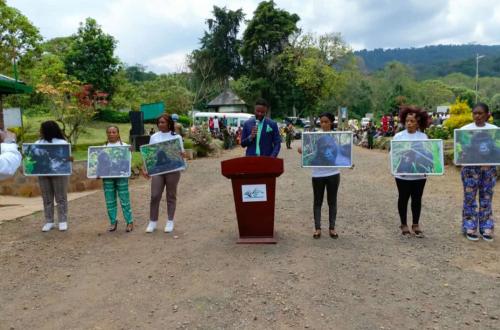 RDC : Le Parc National de Kahuzi Biega baptise six gorilles pour renforcer la conservation de l'espèce