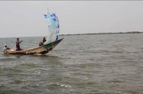 Exploration du lac poissonneux Édouard de Vitshumbi : Plongée dans la vie des pêcheurs et des habitants des rives (Reportage)