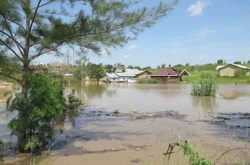 Ituri : plus de 350 ménages à Walendu-Pitsi sous menace de l’inondation suite aux avancées des eaux du lac Albert