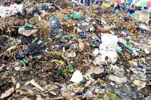Kinshasa : le parlement provincial demande au gouverneur a.i de faire l'assainissement de la ville comme sa priorité