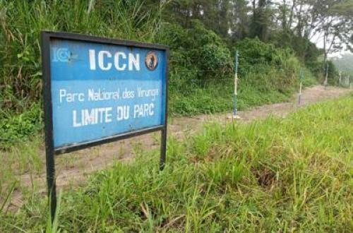 Nord-Kivu : le gouverneur militaire suspend le processus de démarcation des limites du PNVi à Kasindi