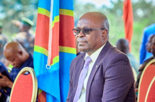 Verdict de la Cour constitutionnelle sur les litiges électoraux : Le député Albert Kadukima validé