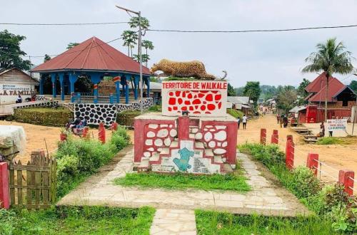 Épidémie de choléra à Walikale, Une menace majeure pour les habitants de cette région de la province du Nord-Kivu
