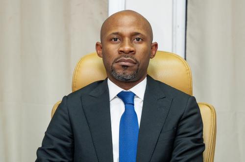 Pour dynamiser l'économie Congolais, le gouvernement veut réformer le portefeuille de l'Etat