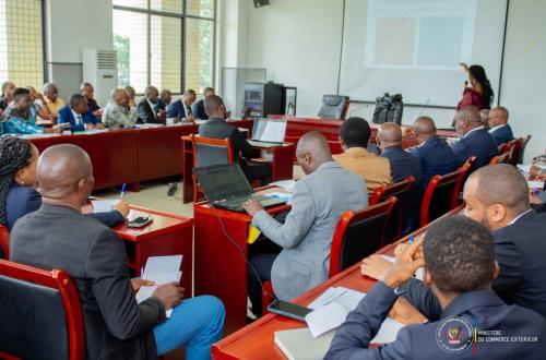 Les experts des structures du ministère du Commerce Extérieur sont en formation sur la mise œuvre de la SPED