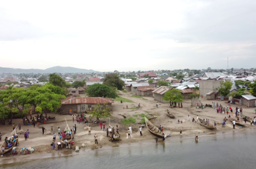 La divagation des bêtes déplorée à Djugu et Irumu