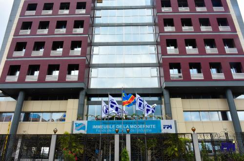 En 2024, le FPI a exploré plusieurs opportunités et noué des alliances avec les milieux d’affaires africains, européens et asiatiques
