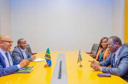 La Tanzanie et le Soudan du Sud renforcent leur coopération économique