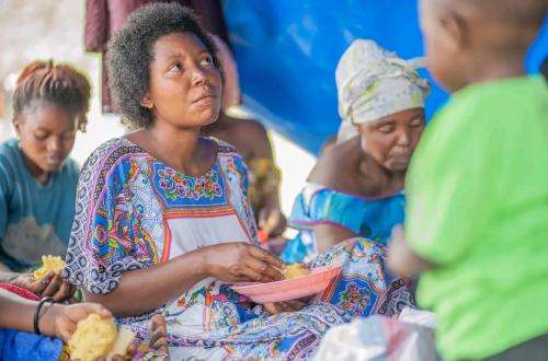 Près de 500 000 enfants et 400 000 femmes enceintes ou allaitantes sont touchées par la malnutrition dans la province du Kwilu (PAM)