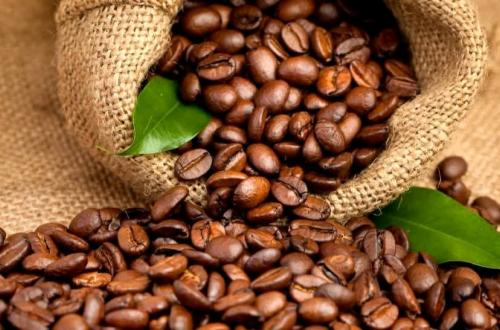 Malgré la persistance de l'insécurité, le Nord-Kivu compte 65 000 producteurs de cacao
