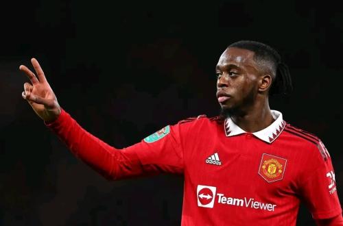 Arrivée du défenseur Aaron Wan-Bissaka dans la tanière, un choix constaté