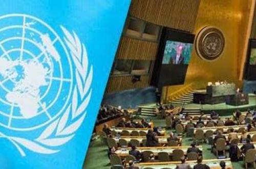 Assemblée Générale de l'ONU : la RDC élue Vice-Présidente