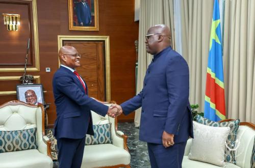 F. Tshisekedi et la CEEAC échangent sur les enjeux sécuritaires liés à la transhumance en Afrique Centrale