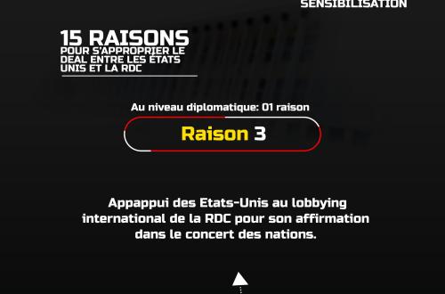 Le Professeur Patrick Onoya invite les Congolais à s'approprier le deal RDC-USA