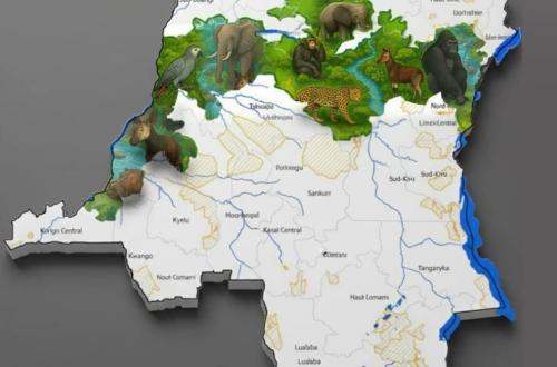 RDC : l’UNESCO lance une campagne de sensibilisation pour la conservation et l’éducation environnementale