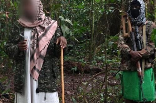 Ituri : quand des ADF avancent sans entrave à Mambasa