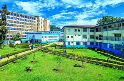 Sud-Kivu : l'UOB lance le Projet « Université, germoir de la stabilisation et de la cohésion sociale à l'Est de la RDC »