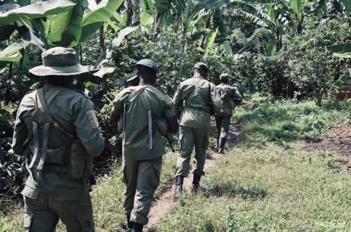 Nord-Kivu : avec 800 éco-gardes pour sécuriser plus de 8000 km² de forêt, l’ICCN se voit « en sous effectifs »