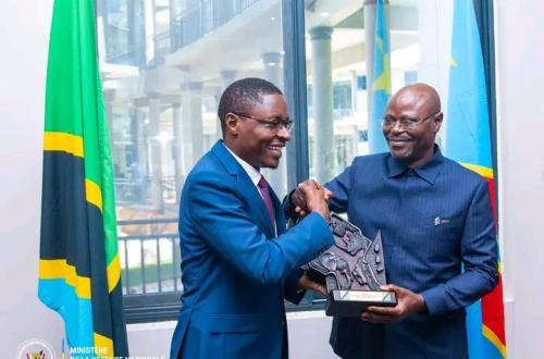 Une coopération militaire renforcée sur le terrain entre la RDC et la Tanzanie