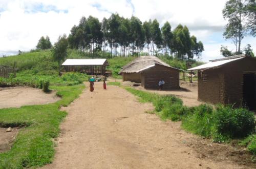 Ituri : 14 CRP neutralisés par l'armée à Djugu