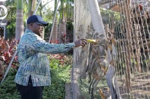 RDC : l'ICCN clarifie le dossier « Jardin Zoologique de Kinshasa »